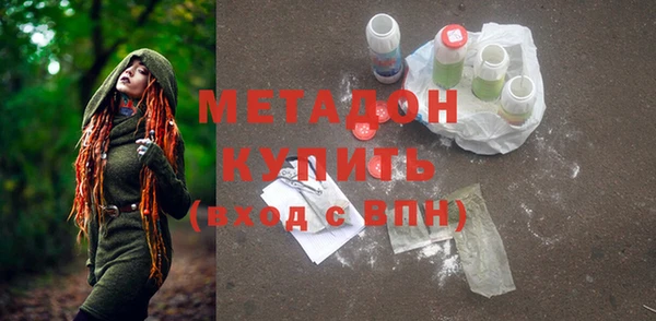 амф Тайга