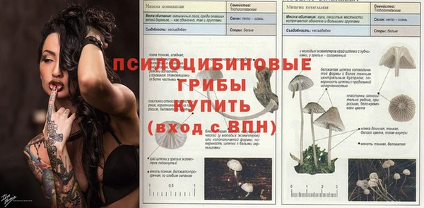 герыч Пересвет