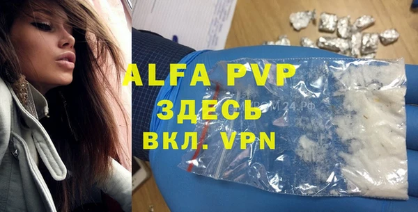 ПСИЛОЦИБИНОВЫЕ ГРИБЫ Аркадак