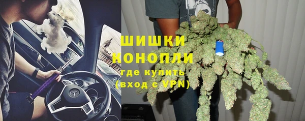 PSILOCYBIN Арсеньев